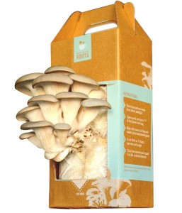 Mushroom-Kit-2