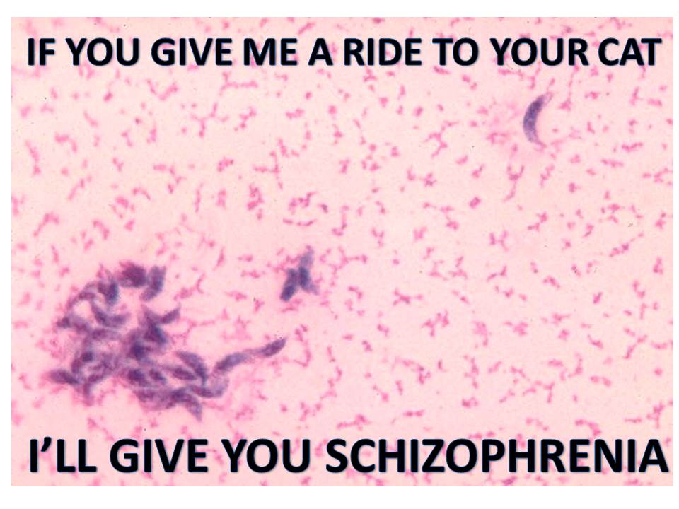 Toxopic