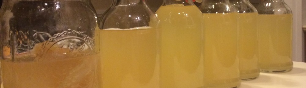 Microbes You Can Eat Vol. 1: Kombucha and Jun Tea