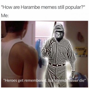 harambe2