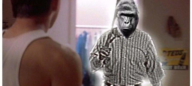 To Zoo or Not to Zoo: a Story of Harambe