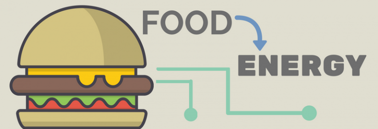 How does food become energy?