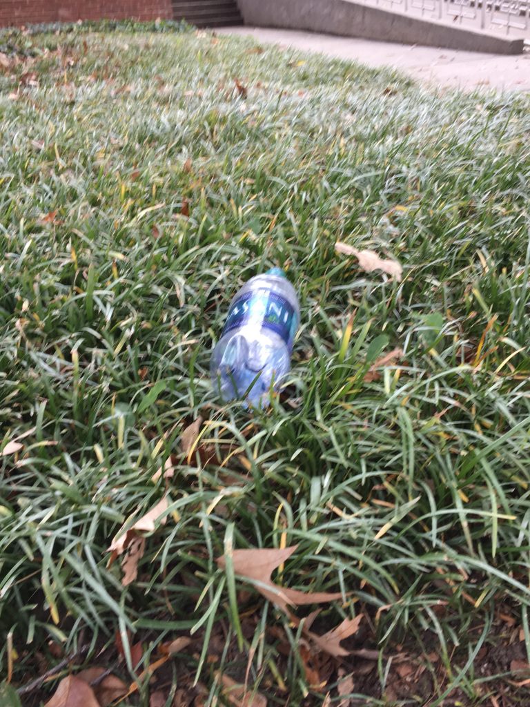 Get Ready for Earth Day!