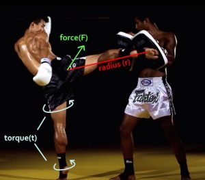 The mechanics involved in a roundhouse kick