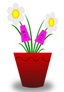 potted plants