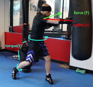 The mechanics of a punch are similar to that of a roundhouse kick