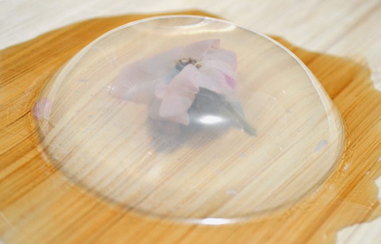 Raindrop Cake, Not a Cake?