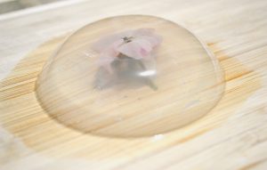 IMG_1885