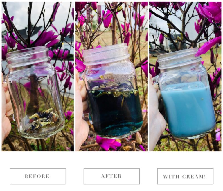 Butterfly Pea Flower Tea