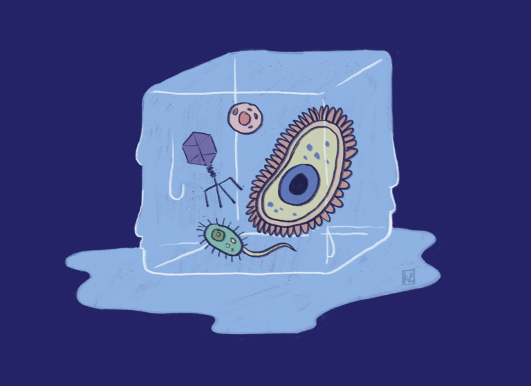 Should We Be Worried About Zombie Pathogens?