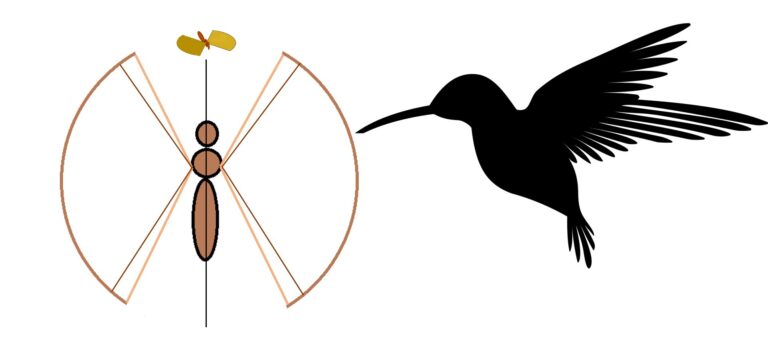 Insect robots: How do they fly?