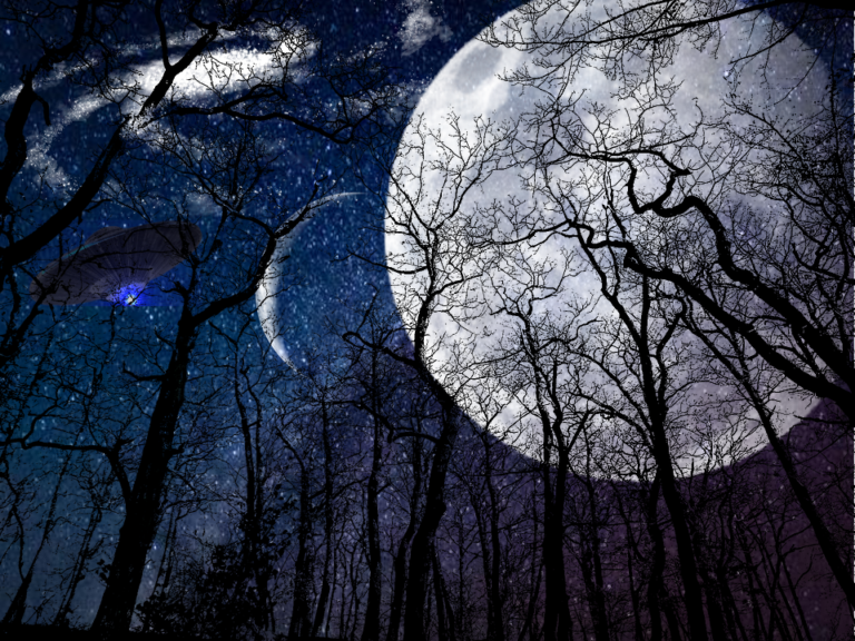 Three Dog Star Night (Part 4)