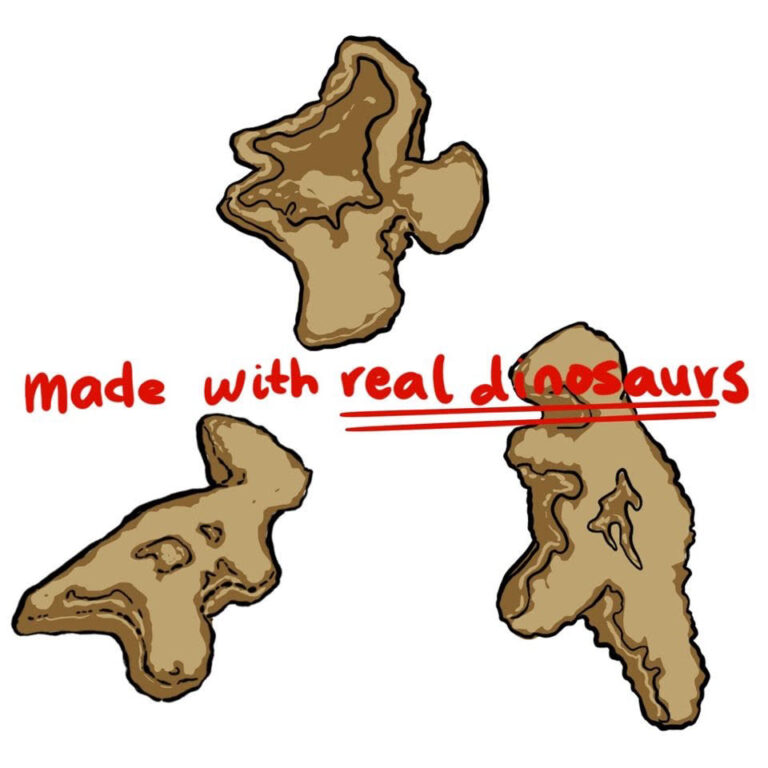 Dino Nuggets: The Evolution of Birds from Dinosaurs