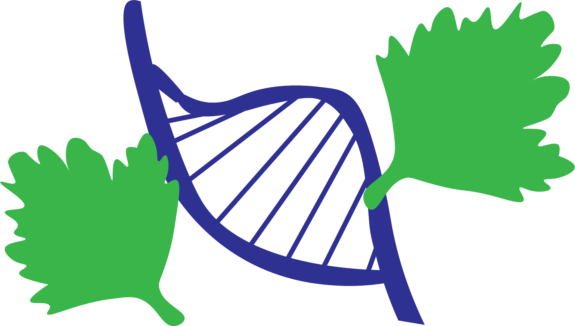 The Cilantro Controversy: A Scientific Look
