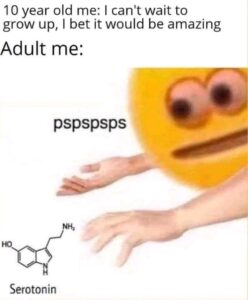 10 year old me: I can't wait to grow up, I bet it would be amazing. Adult me: a picture of a cartoon face making the pspsps sound at a chemical diagram of serotonin the way one would call a cat.