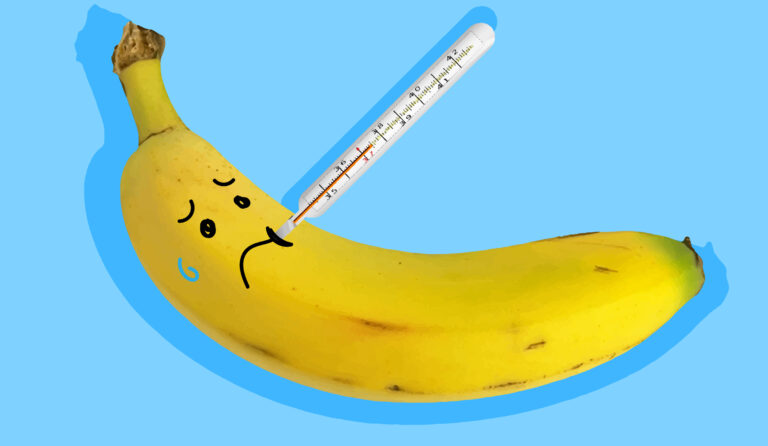 Bananas Are Dying. Again.