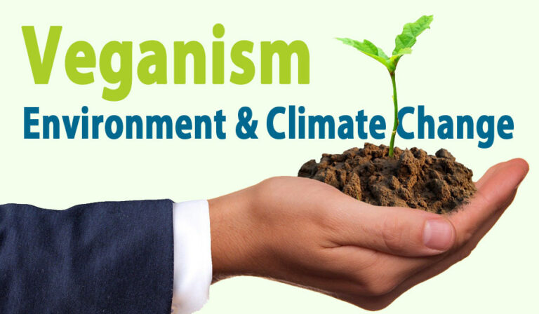 Veganism- Doing More Environmental Harm than Good?