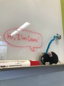 A crochet mouse sits on the marker holder of a white board. On the white board, a text bubble reads, "Hi, I'm Gene!"