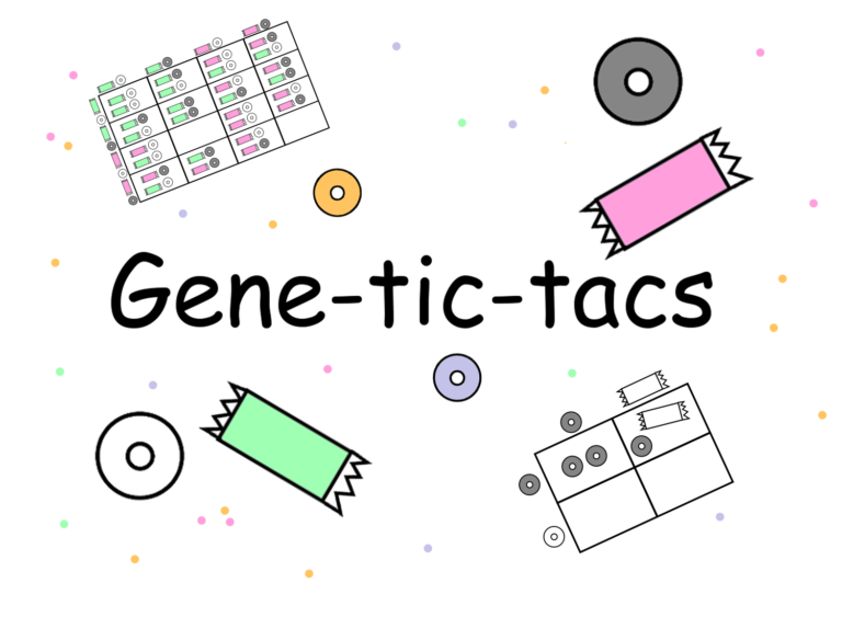 ‘Fun’nett Squares: Gene-tic-tacs Activity Booth