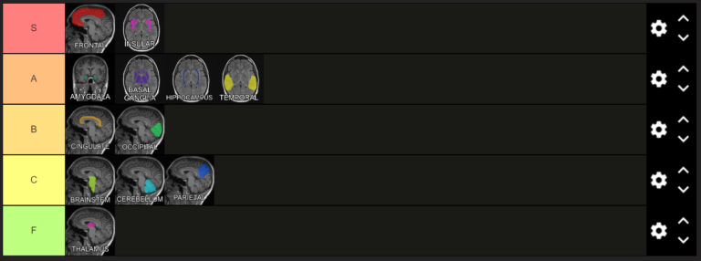 Human Brain Regions Tierlist (NOT CLICKBAIT)