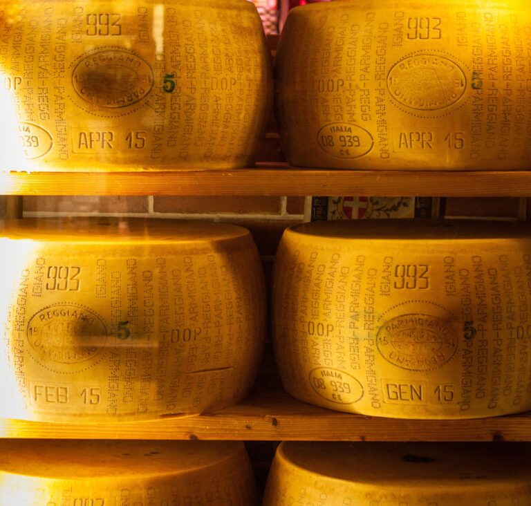 The Art of Cheese-Making