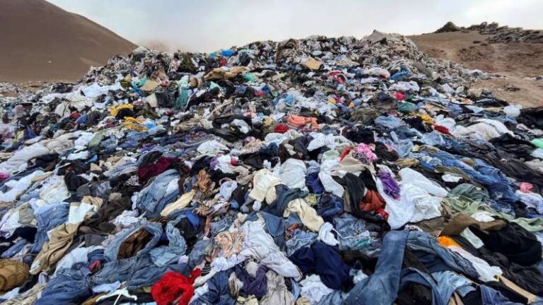 Fast Fashion and Greek Life: Overconsumption in Style
