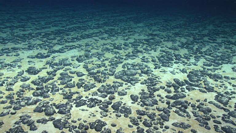 The Mystery of Dark Oxygen: Understanding the Viral Phenomenon