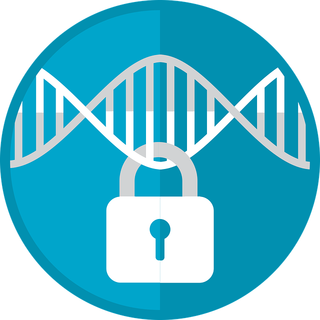 Cybersecurity Hub