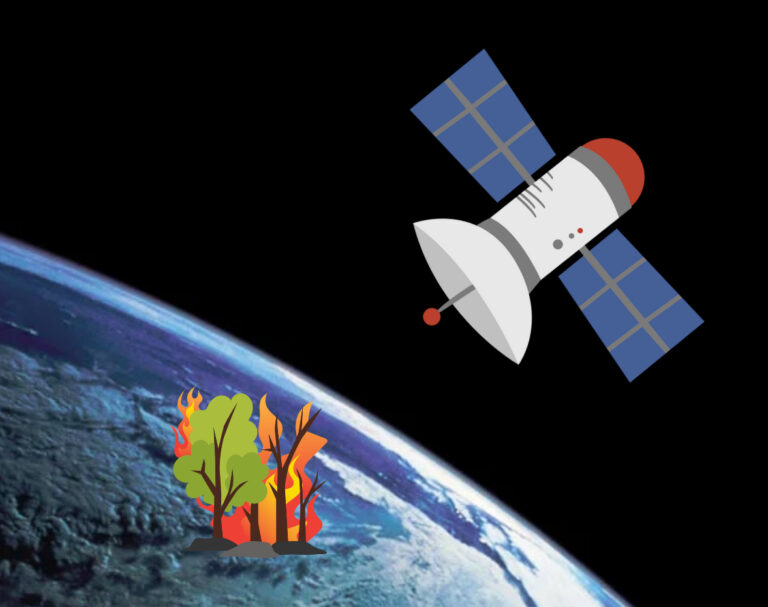 How We Can Detect Forest Fires from Space