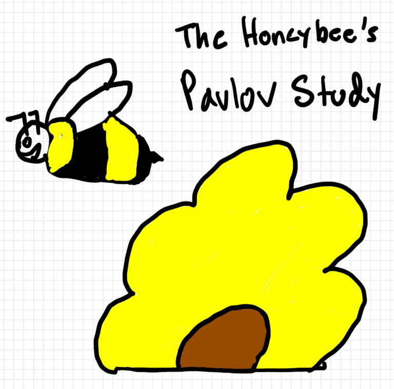 The Honeybee’s Pavlov Study