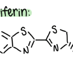 D-Luciferin