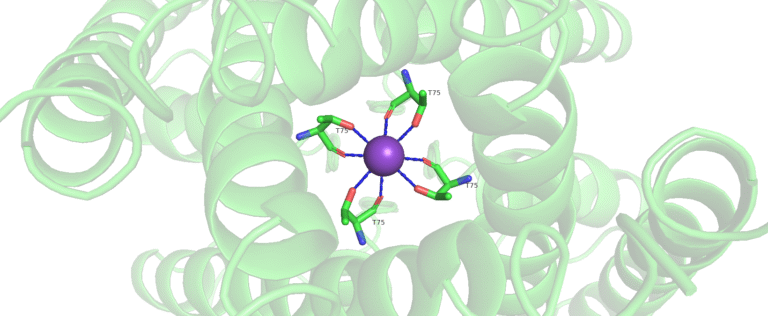 How Pymol Lets You Visualize DNA in 3D