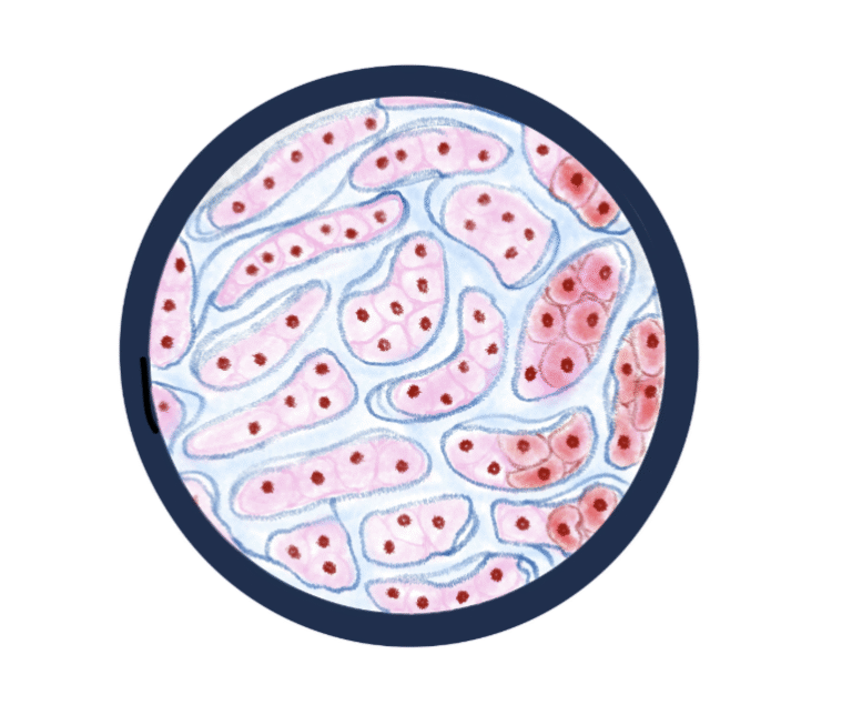 Microscopic Masterpiece