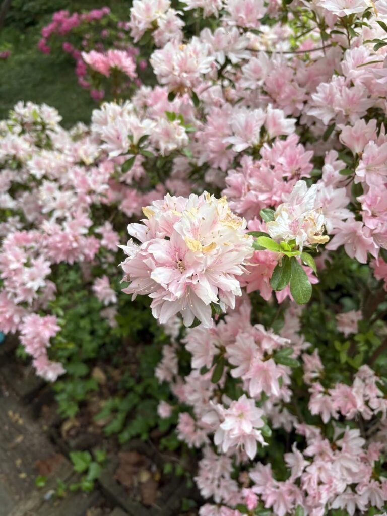 Tech is in Bloom for Spring!